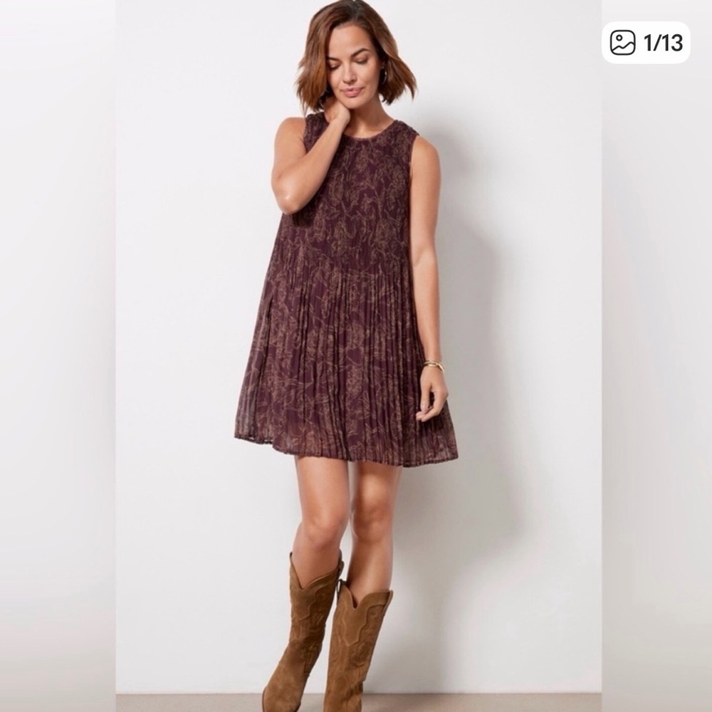 NWT Evereve Hazel Pleated Burgundy Dress
